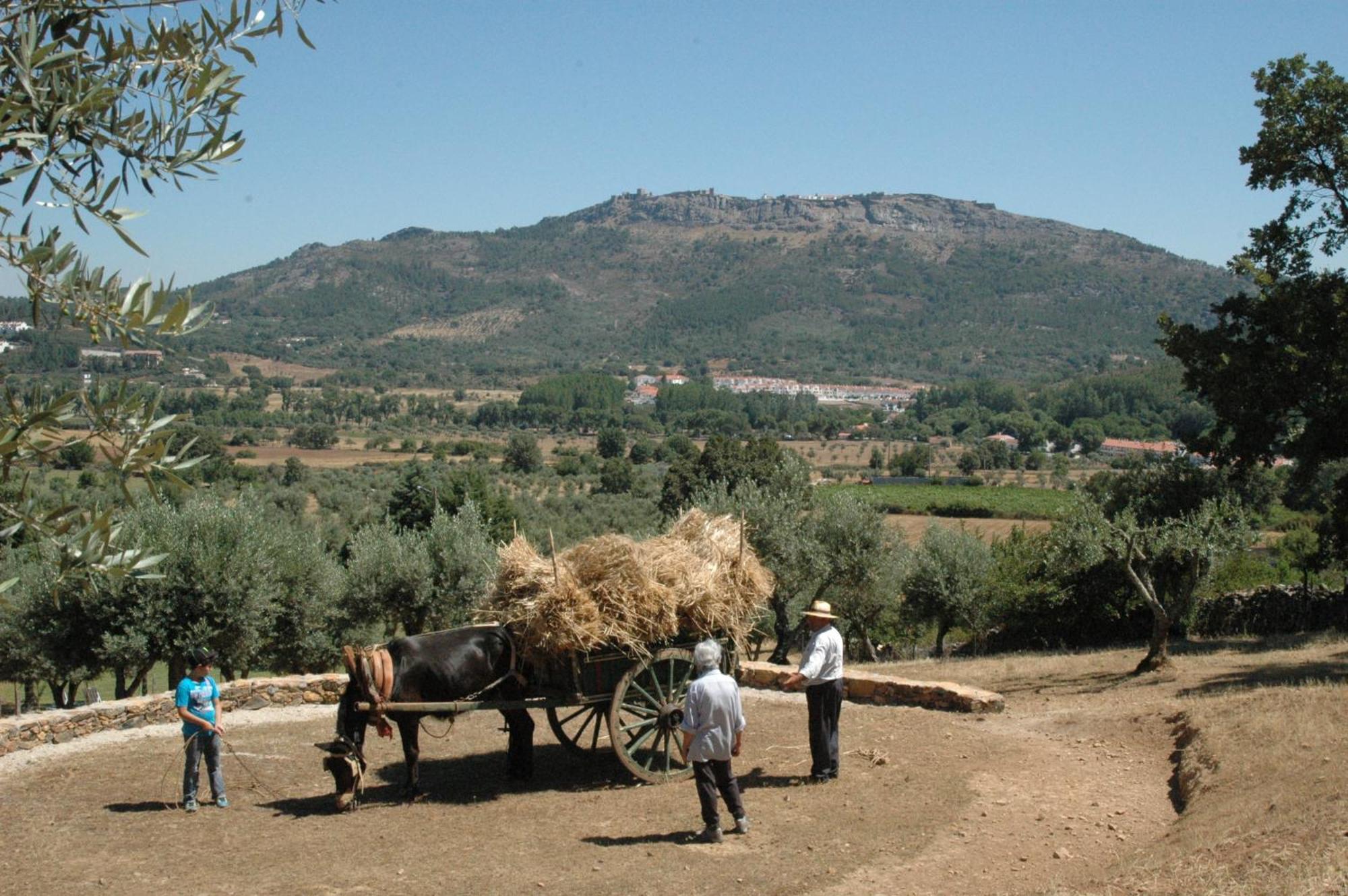 فيلا Quinta Do Vaqueirinho - Agro-Turismo Marvão المظهر الخارجي الصورة