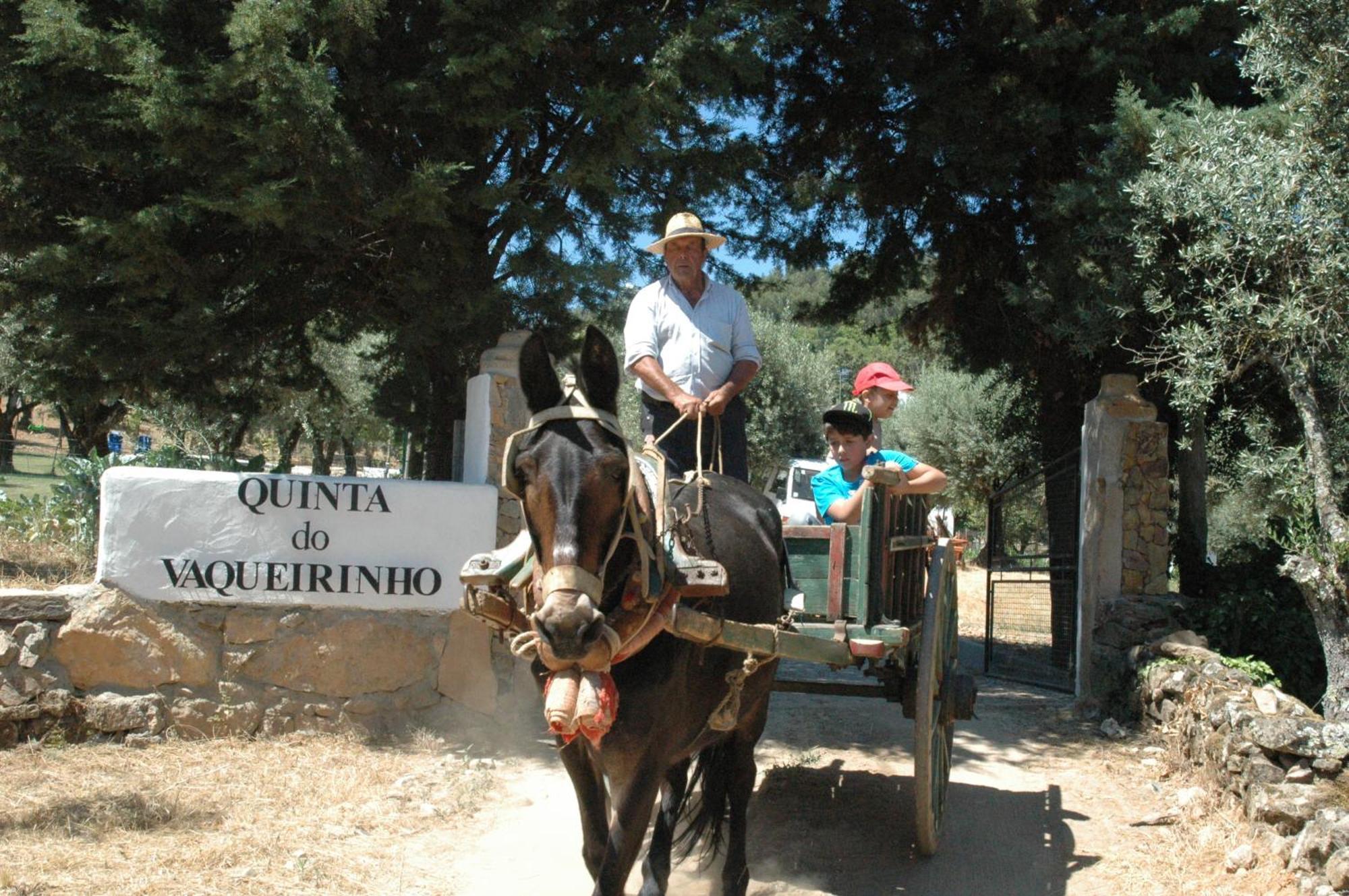 فيلا Quinta Do Vaqueirinho - Agro-Turismo Marvão المظهر الخارجي الصورة