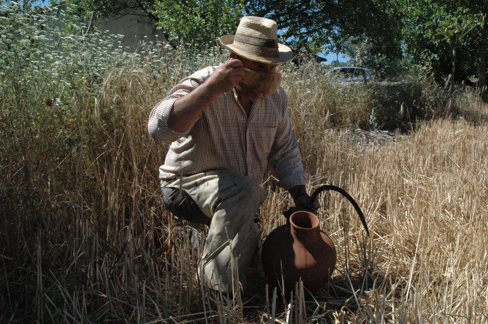 فيلا Quinta Do Vaqueirinho - Agro-Turismo Marvão المظهر الخارجي الصورة