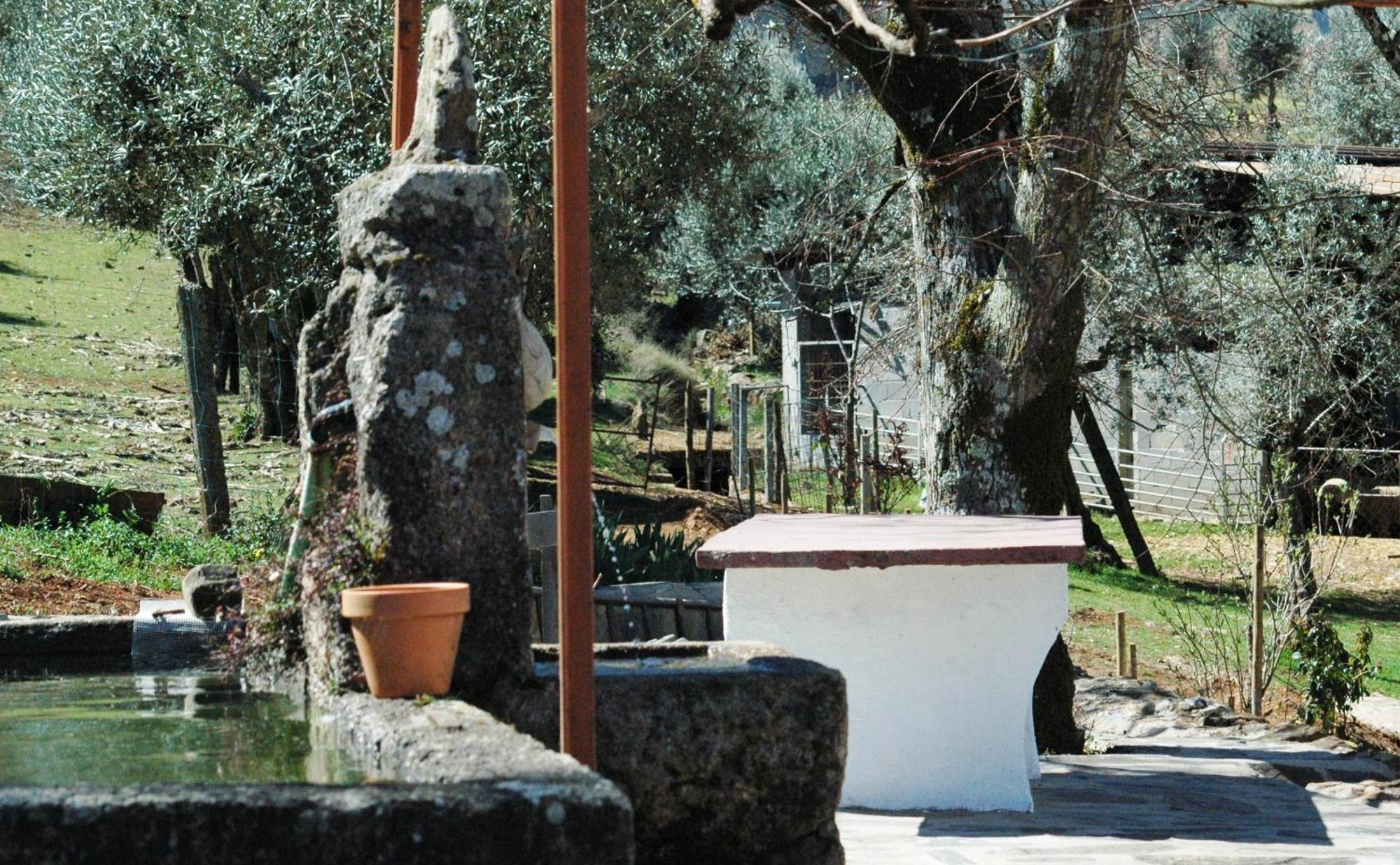 فيلا Quinta Do Vaqueirinho - Agro-Turismo Marvão المظهر الخارجي الصورة