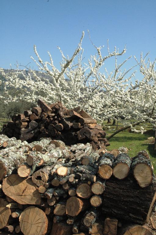 فيلا Quinta Do Vaqueirinho - Agro-Turismo Marvão المظهر الخارجي الصورة